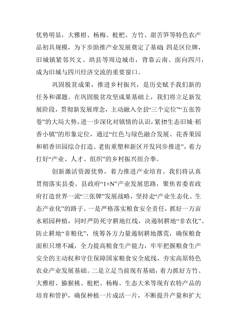 在乡村振兴大会上的表态发言.docx_第2页