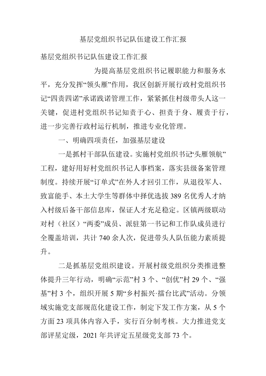 基层党组织书记队伍建设工作汇报.docx_第1页