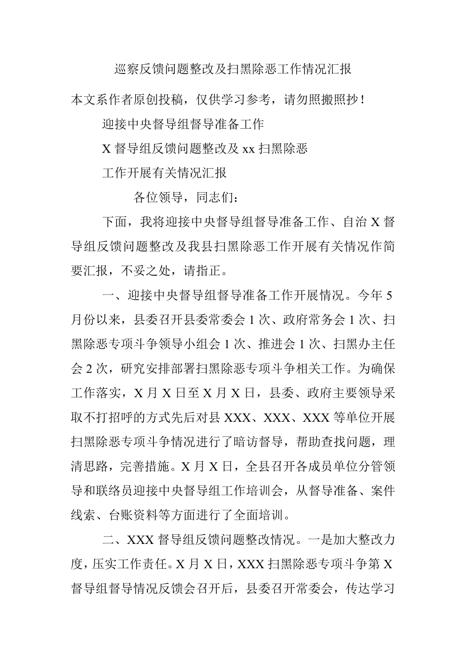 巡察反馈问题整改及扫黑除恶工作情况汇报.docx_第1页