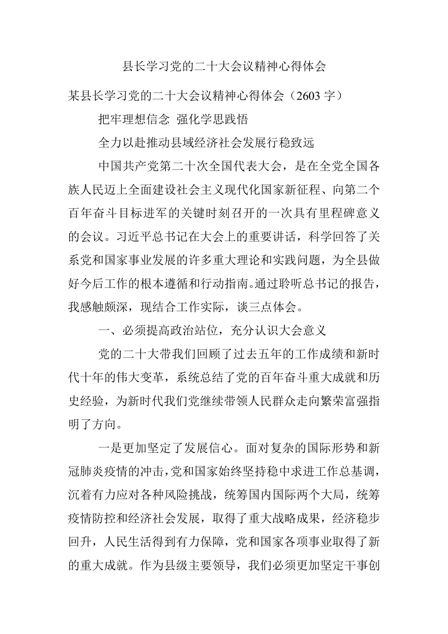 县长学习党的二十大会议精神心得体会.docx_第1页