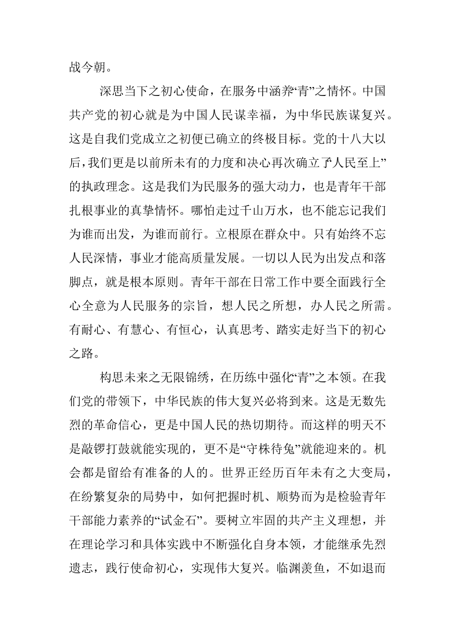 学习中青班讲话心得体会.docx_第2页