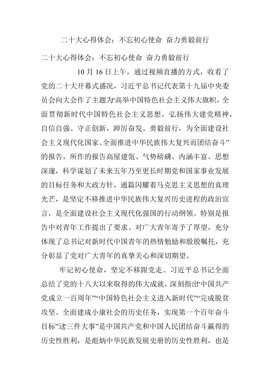 二十大心得体会：不忘初心使命 奋力勇毅前行.docx_第1页