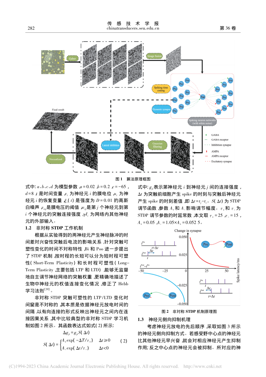 基于视通路非对称STDP机制的边缘提取_房涛.pdf_第3页