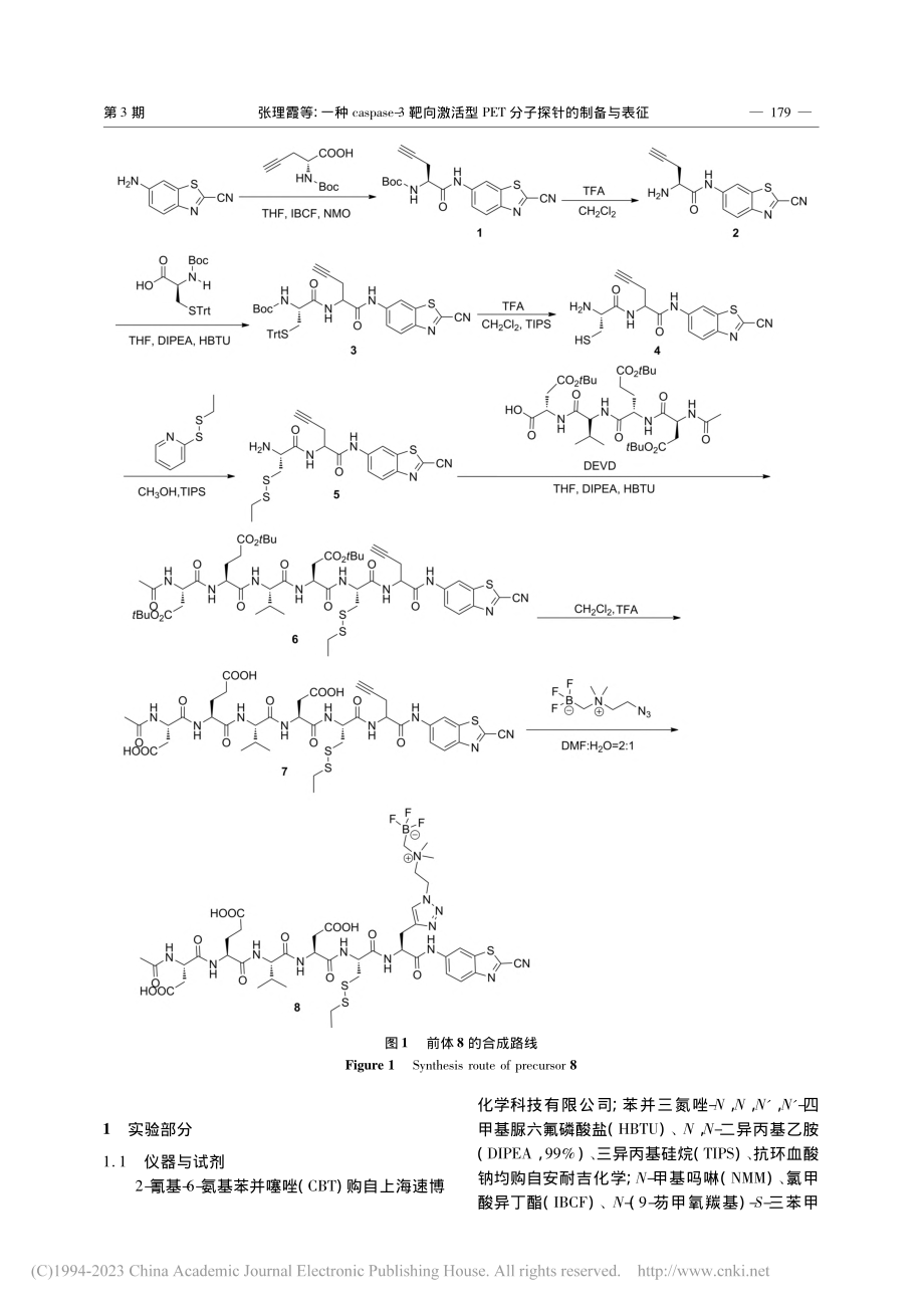 一种caspase-3靶向...PET分子探针的制备与表征_张理霞.pdf_第3页