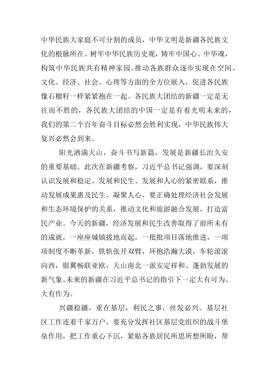 学习新疆考察时重要讲话精神心得体会_4.docx_第2页