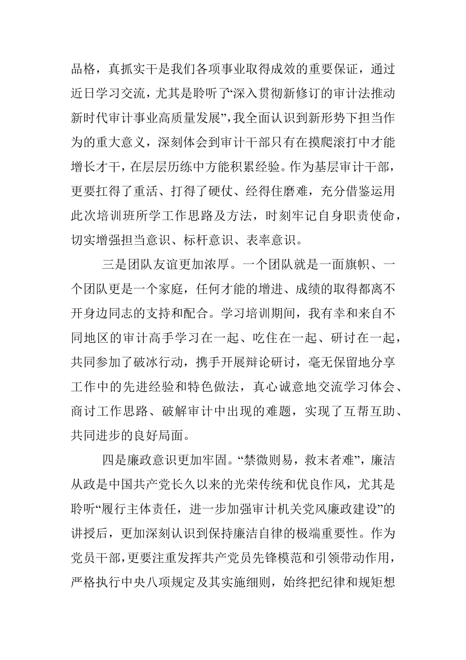 审计人培训心得.docx_第2页