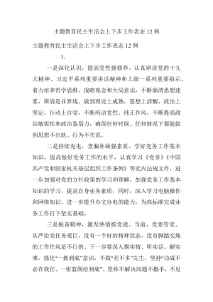 主题教育民主生活会上下步工作表态12例.docx