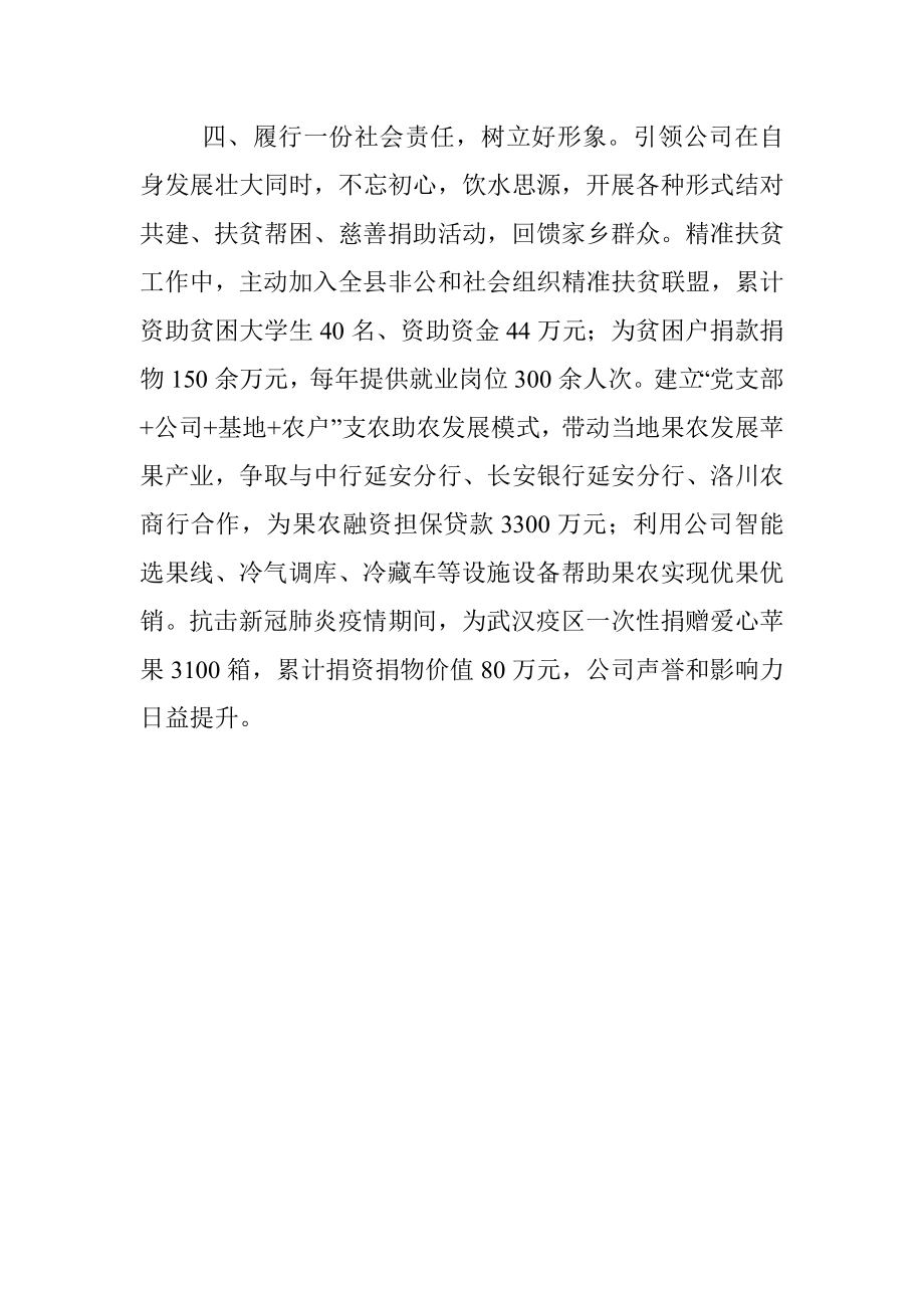 非公企业党建经验交流材料.docx_第3页