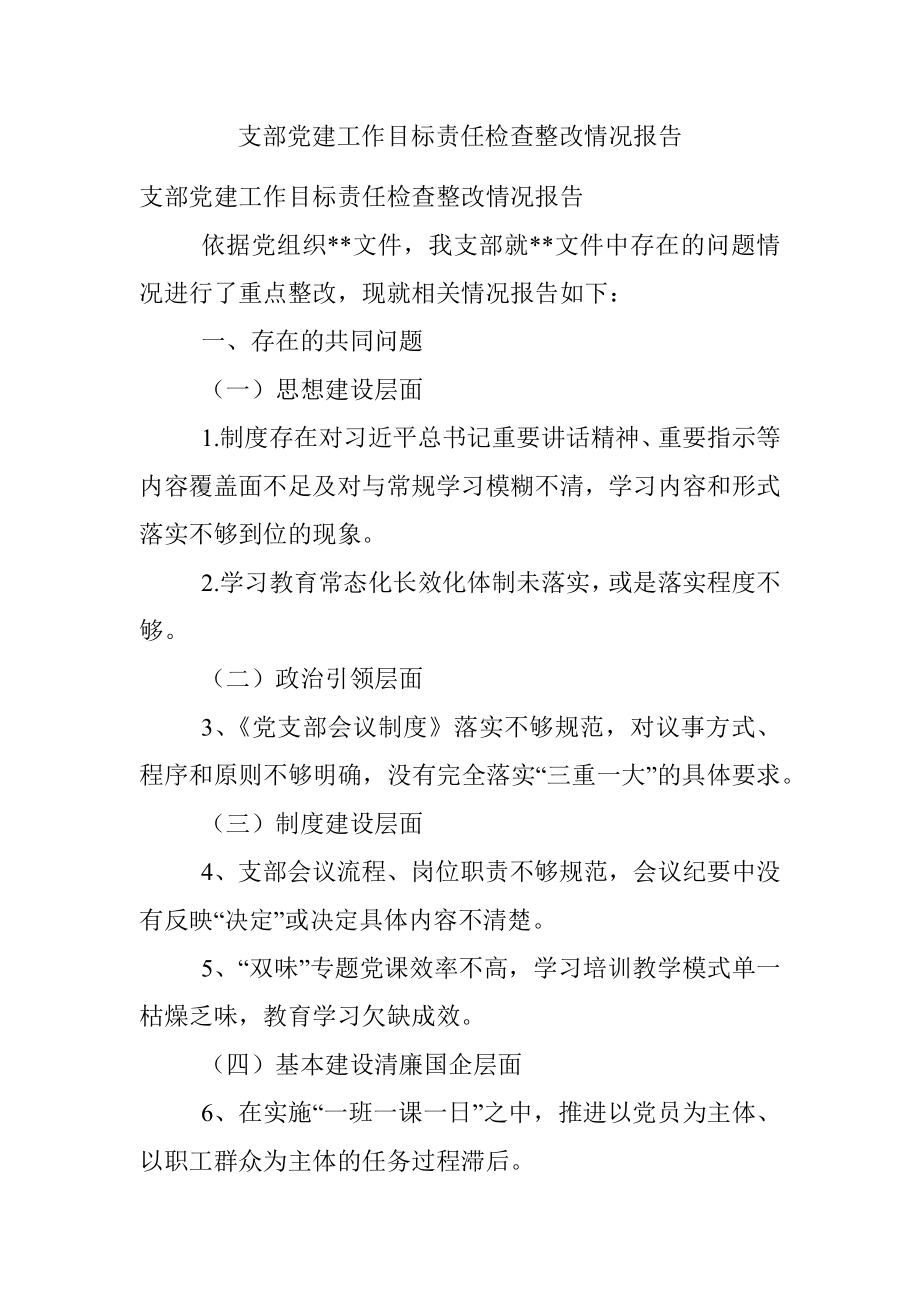 支部党建工作目标责任检查整改情况报告.docx_第1页