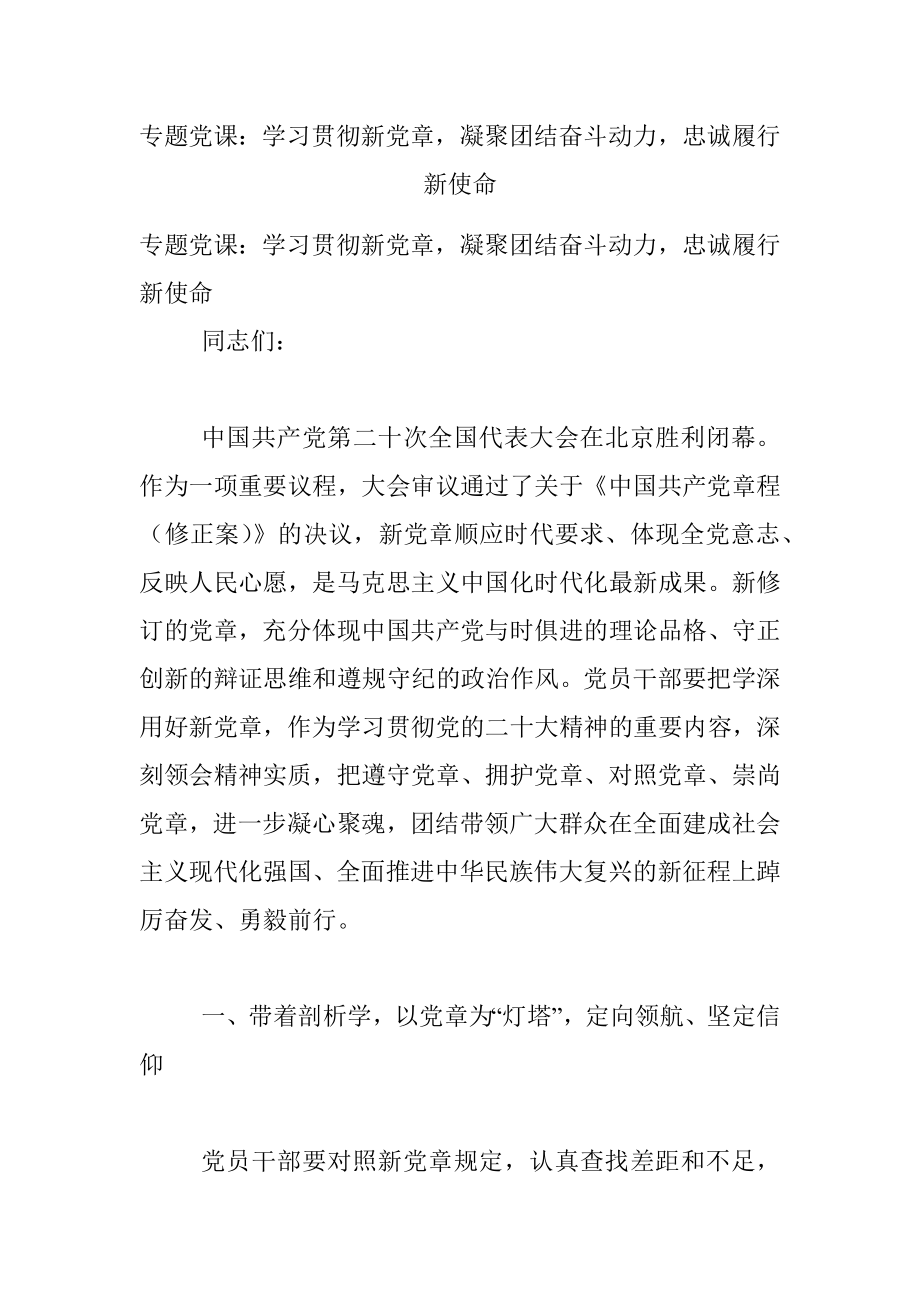 专题党课：学习贯彻新党章凝聚团结奋斗动力忠诚履行新使命_1.docx_第1页