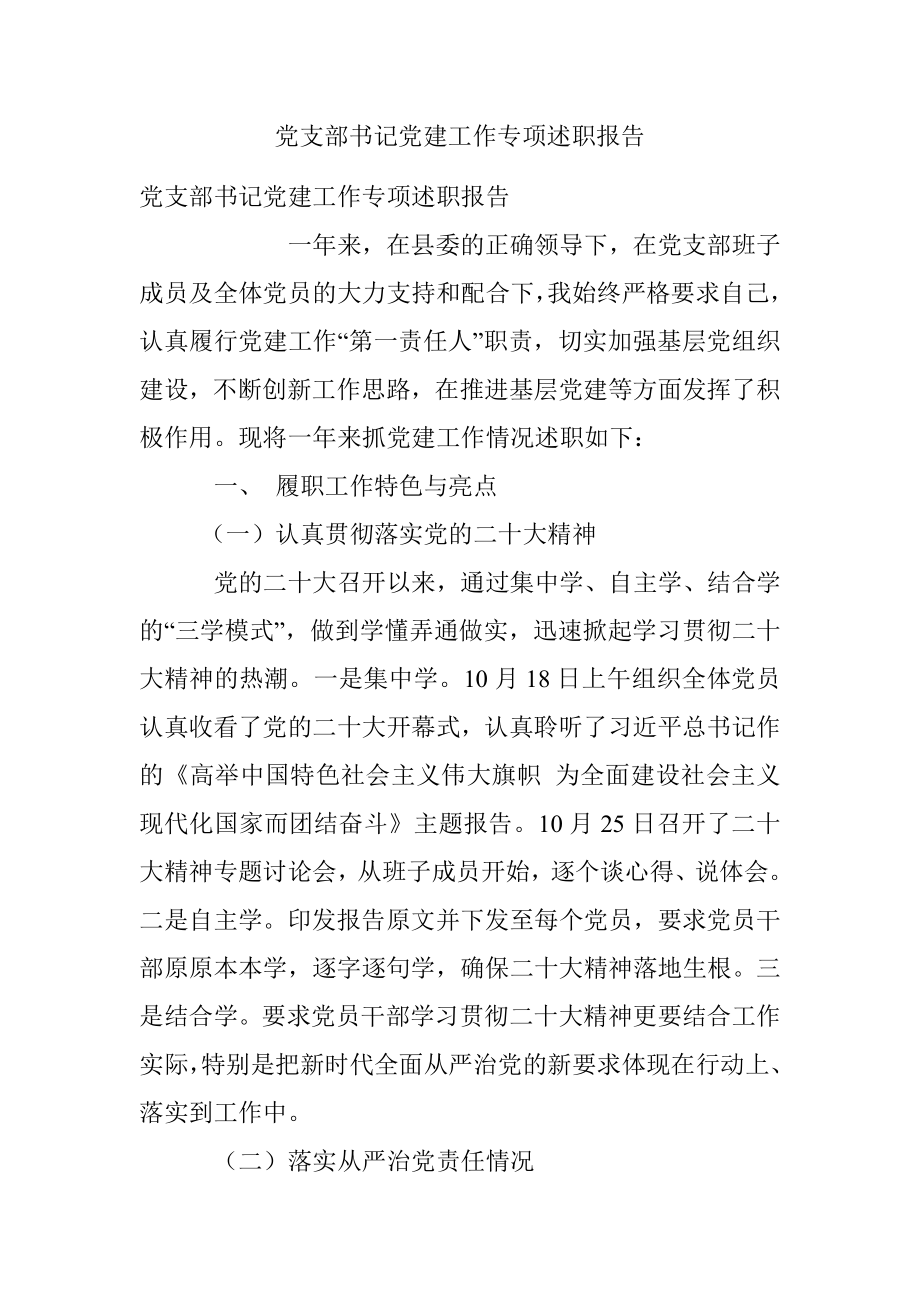 党支部书记党建工作专项述职报告.docx_第1页