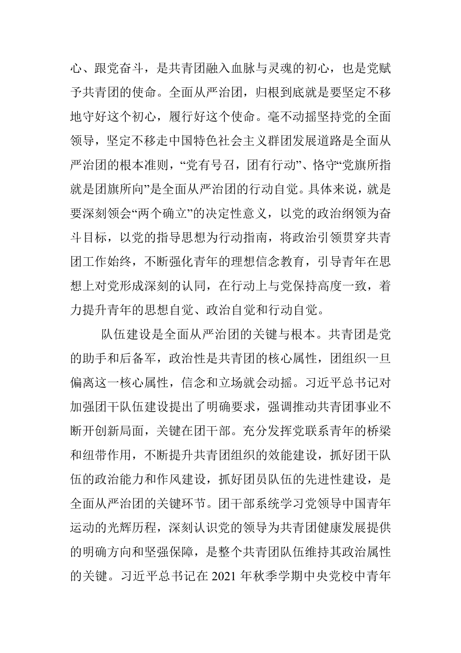 专题党课：以全面从严治团护航新时代共青团工作新征程.docx_第2页