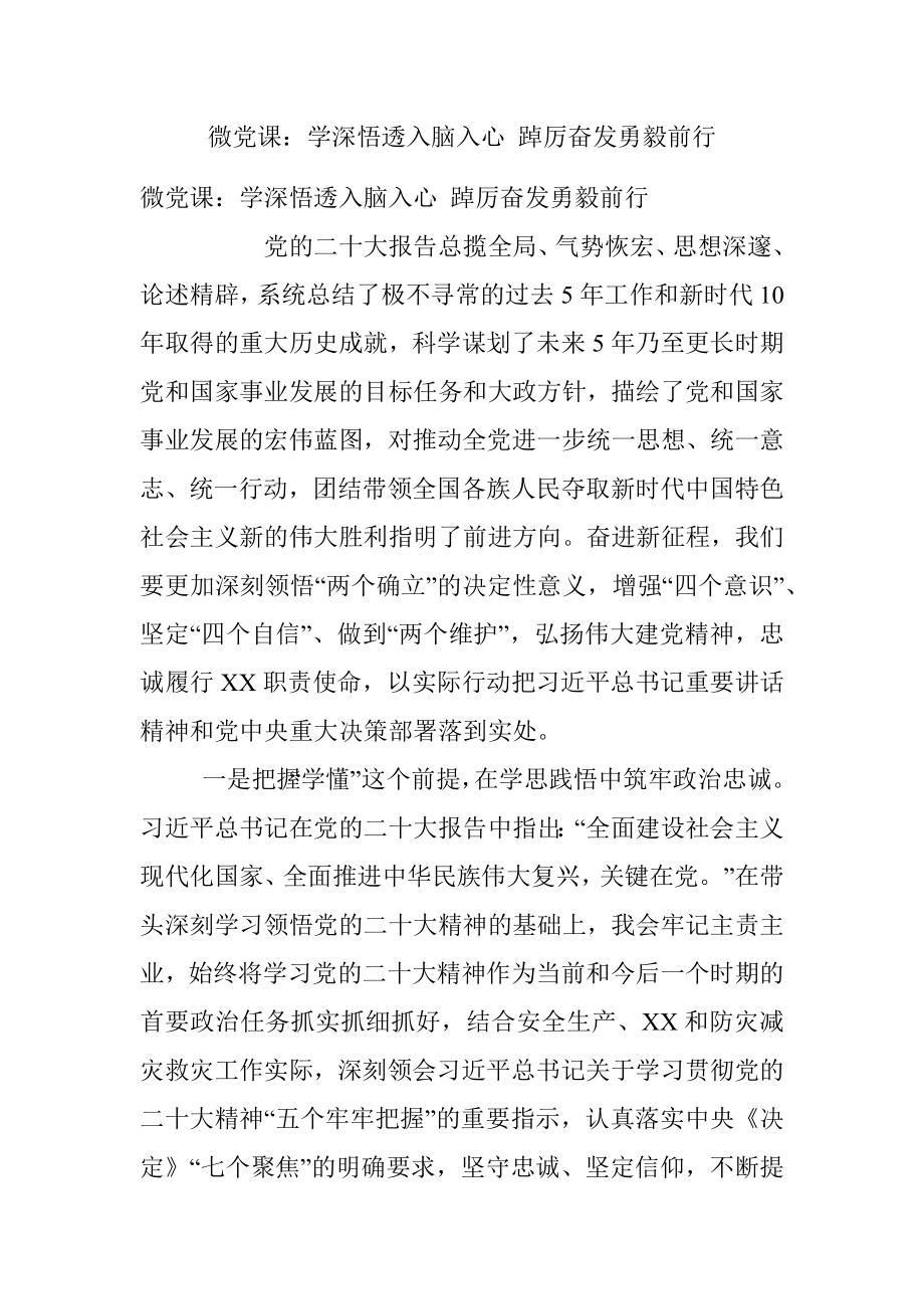 微党课：学深悟透入脑入心 踔厉奋发勇毅前行.docx_第1页