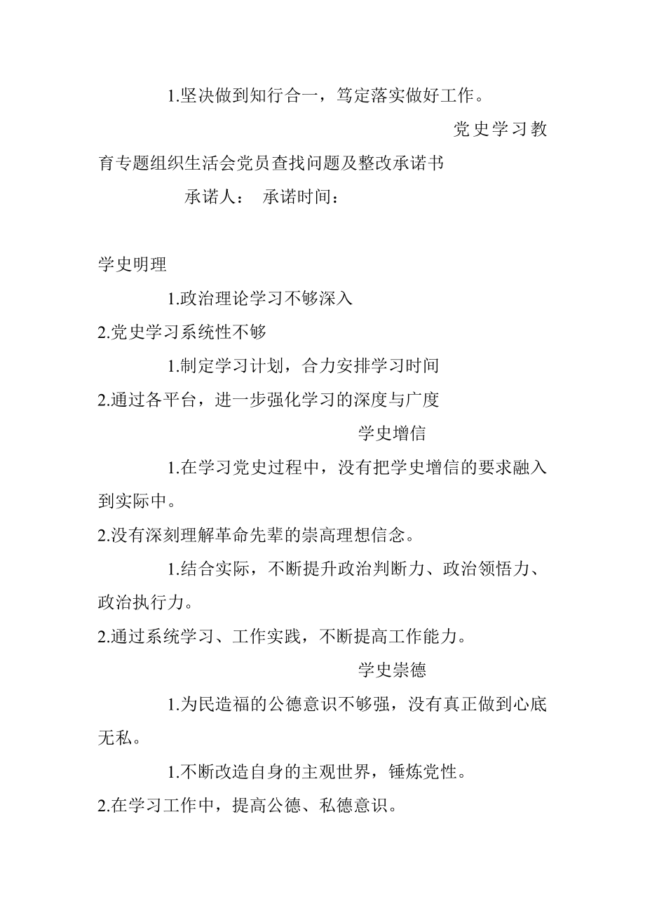 党史学习教育专题组织生活会党员查找问题及整改承诺书.docx_第2页