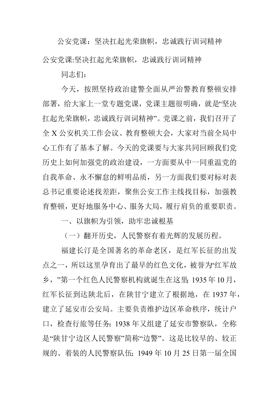 公安党课：坚决扛起光荣旗帜忠诚践行训词精神.docx_第1页