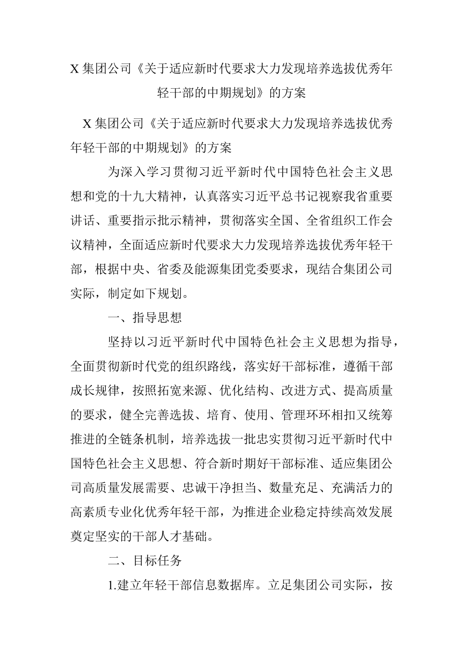 X集团公司《关于适应新时代要求大力发现培养选拔优秀年轻干部的中期规划》的方案.docx_第1页