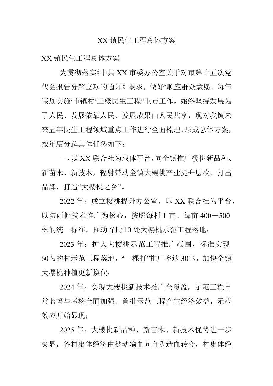 XX镇民生工程总体方案.docx_第1页