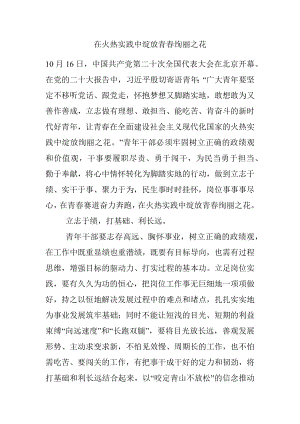 在火热实践中绽放青春绚丽之花.docx