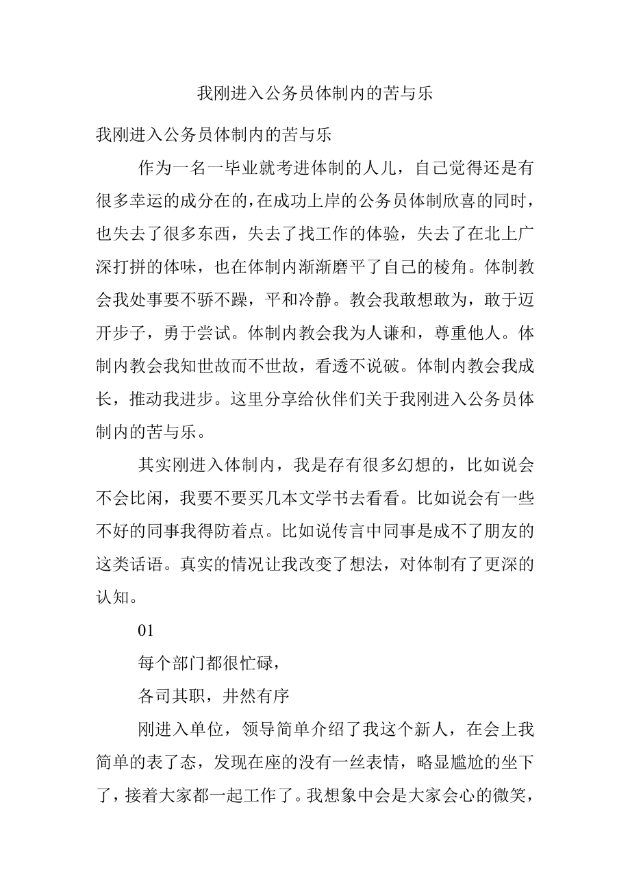 我刚进入公务员体制内的苦与乐.docx_第1页