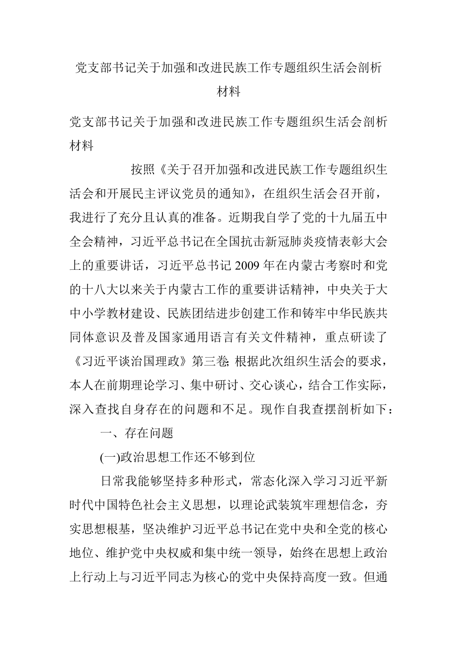 党支部书记关于加强和改进民族工作专题组织生活会剖析材料.docx_第1页