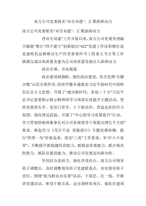 南方公司党委抓实“双引双建”汇聚澎湃动力.docx