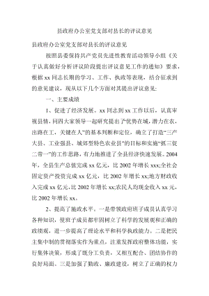 县政府办公室党支部对县长的评议意见.docx