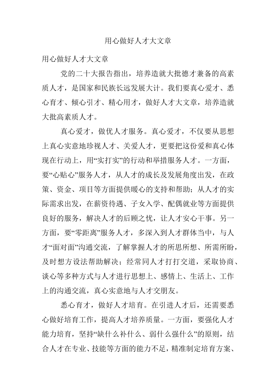 用心做好人才大文章.docx_第1页