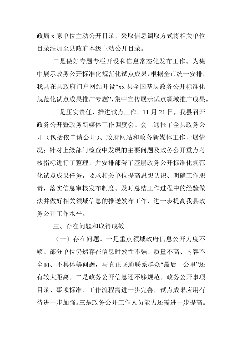 基层政务公开标准化规范化试点成果推广工作总结（县级）.docx_第2页