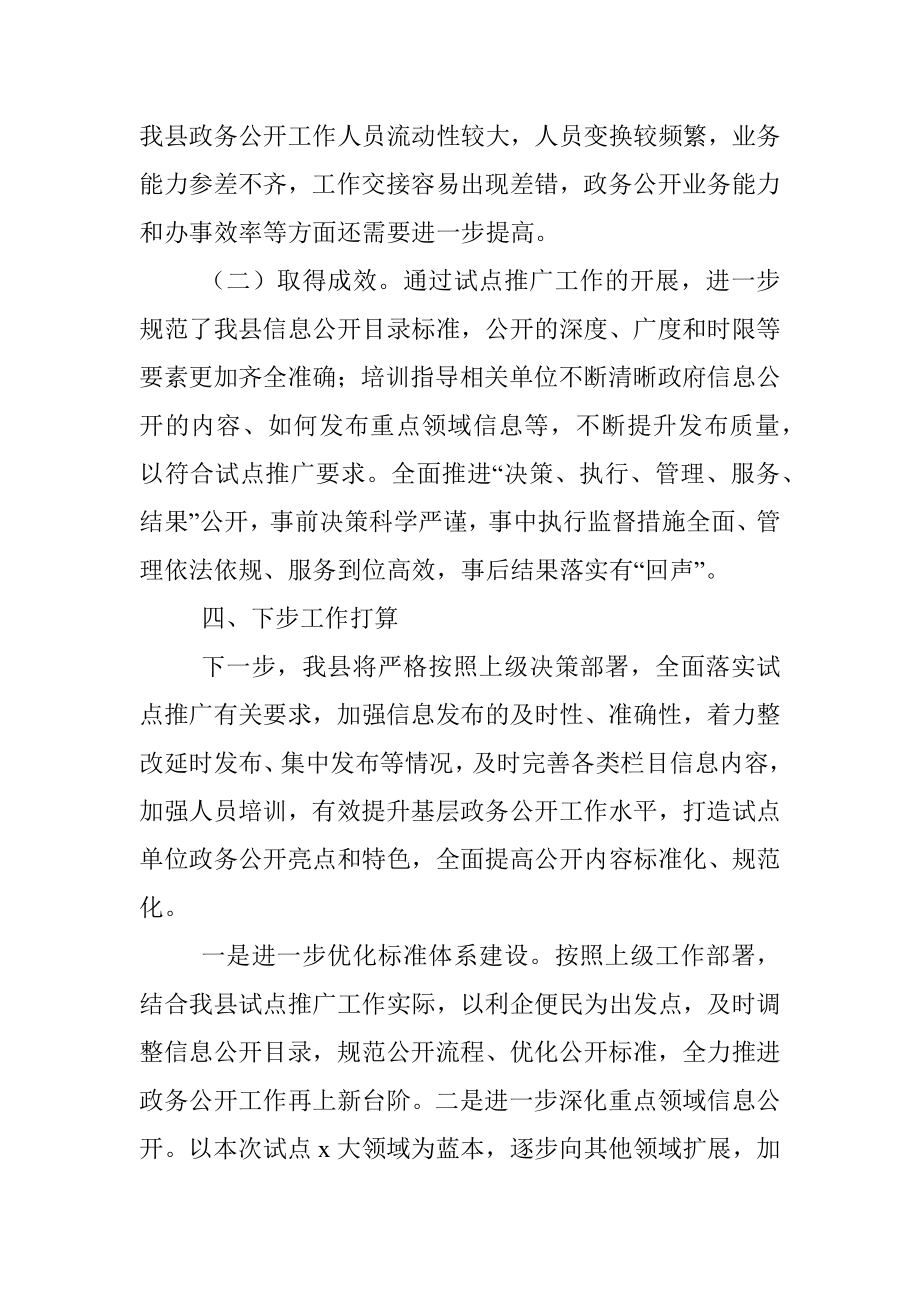 基层政务公开标准化规范化试点成果推广工作总结（县级）.docx_第3页