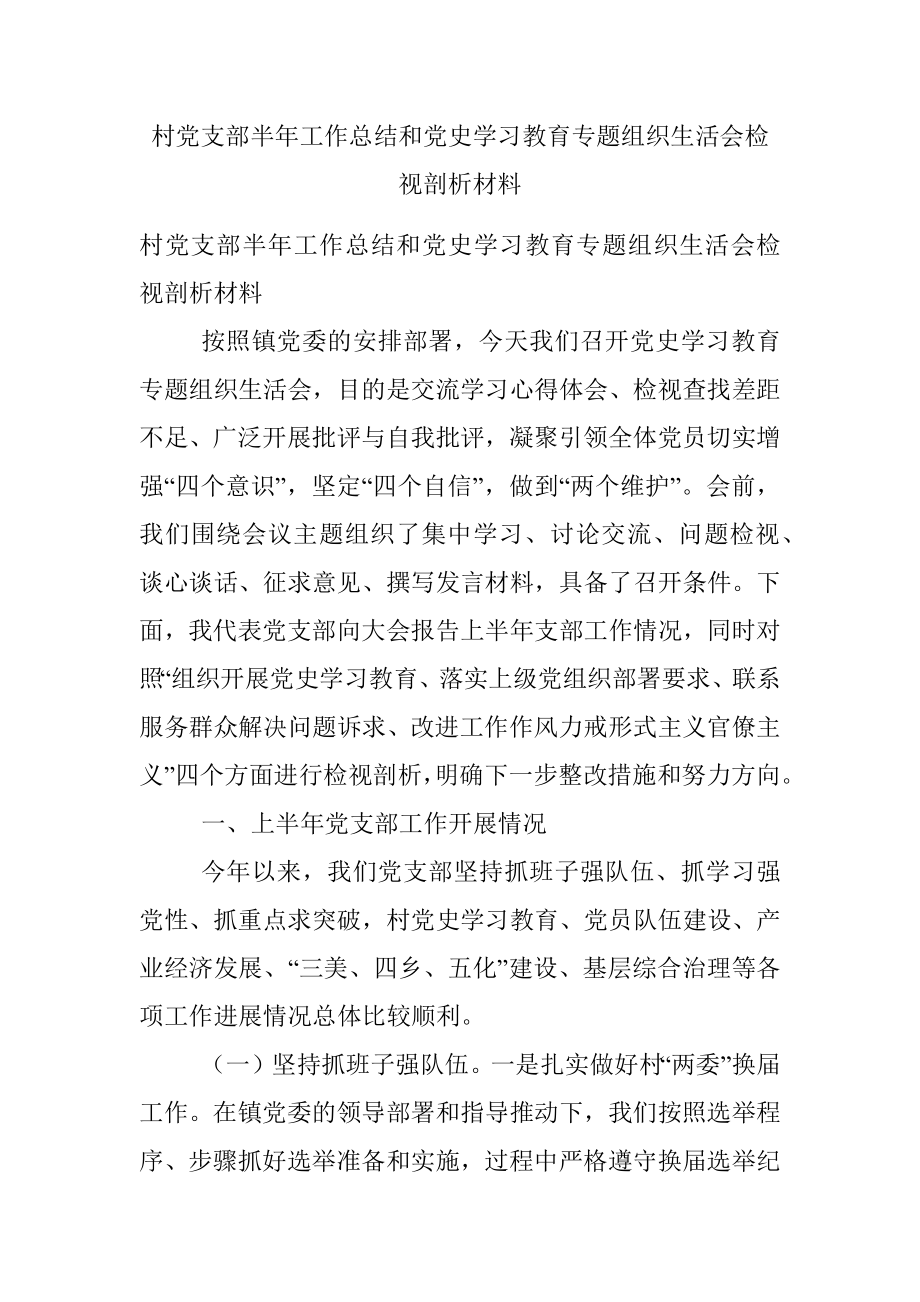 村党支部半年工作总结和党史学习教育专题组织生活会检视剖析材料.docx_第1页