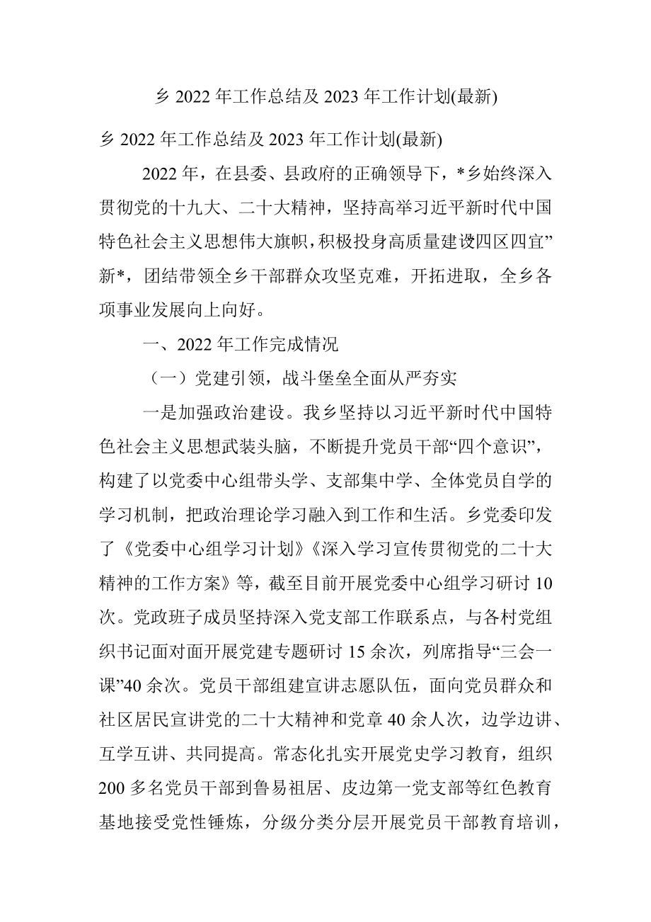 乡2022年工作总结及2023年工作计划(最新).docx_第1页