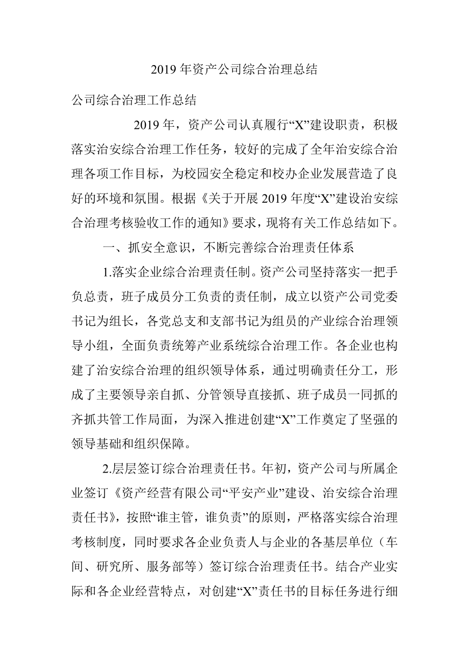 2019年资产公司综合治理总结.docx_第1页