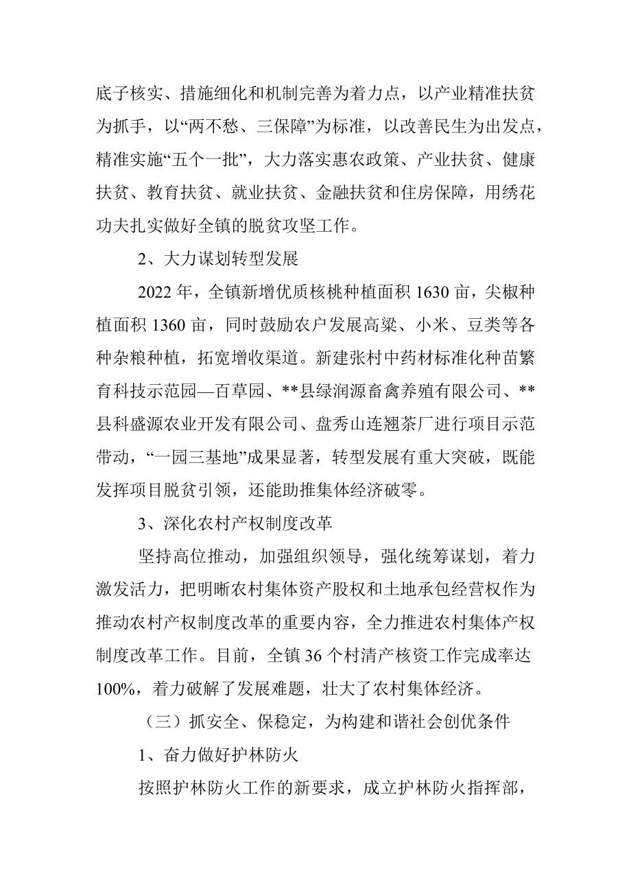 乡镇2022年年度工作总结.docx_第2页