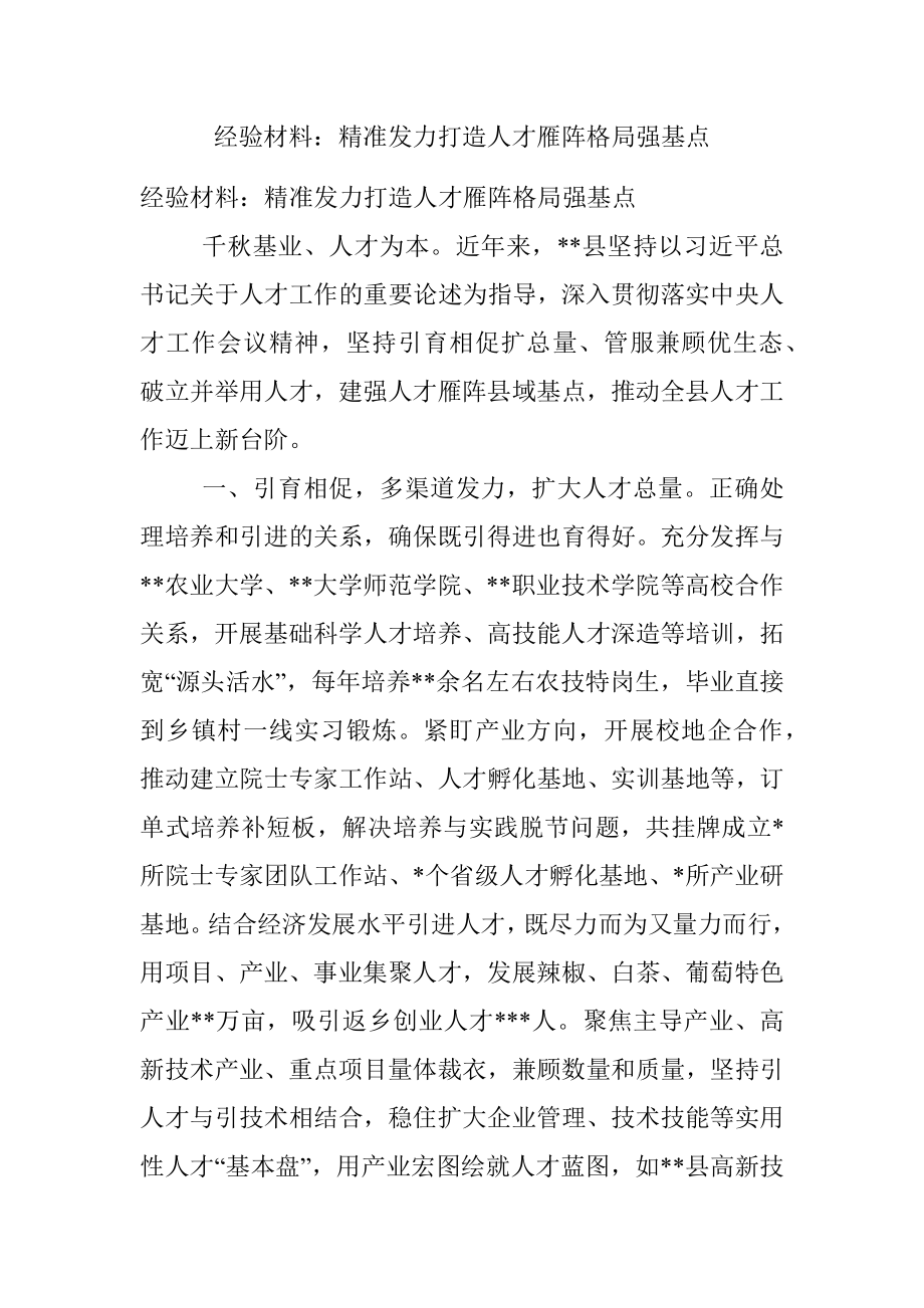 经验材料：精准发力打造人才雁阵格局强基点.docx_第1页