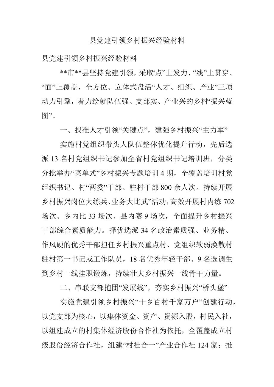 县党建引领乡村振兴经验材料.docx_第1页