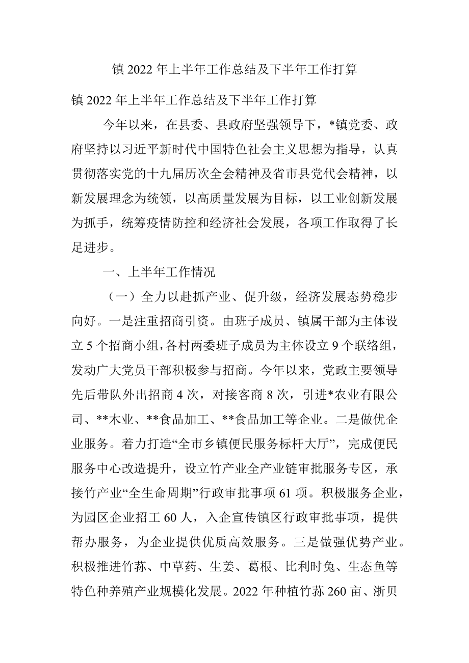 镇2022年上半年工作总结及下半年工作打算.docx_第1页