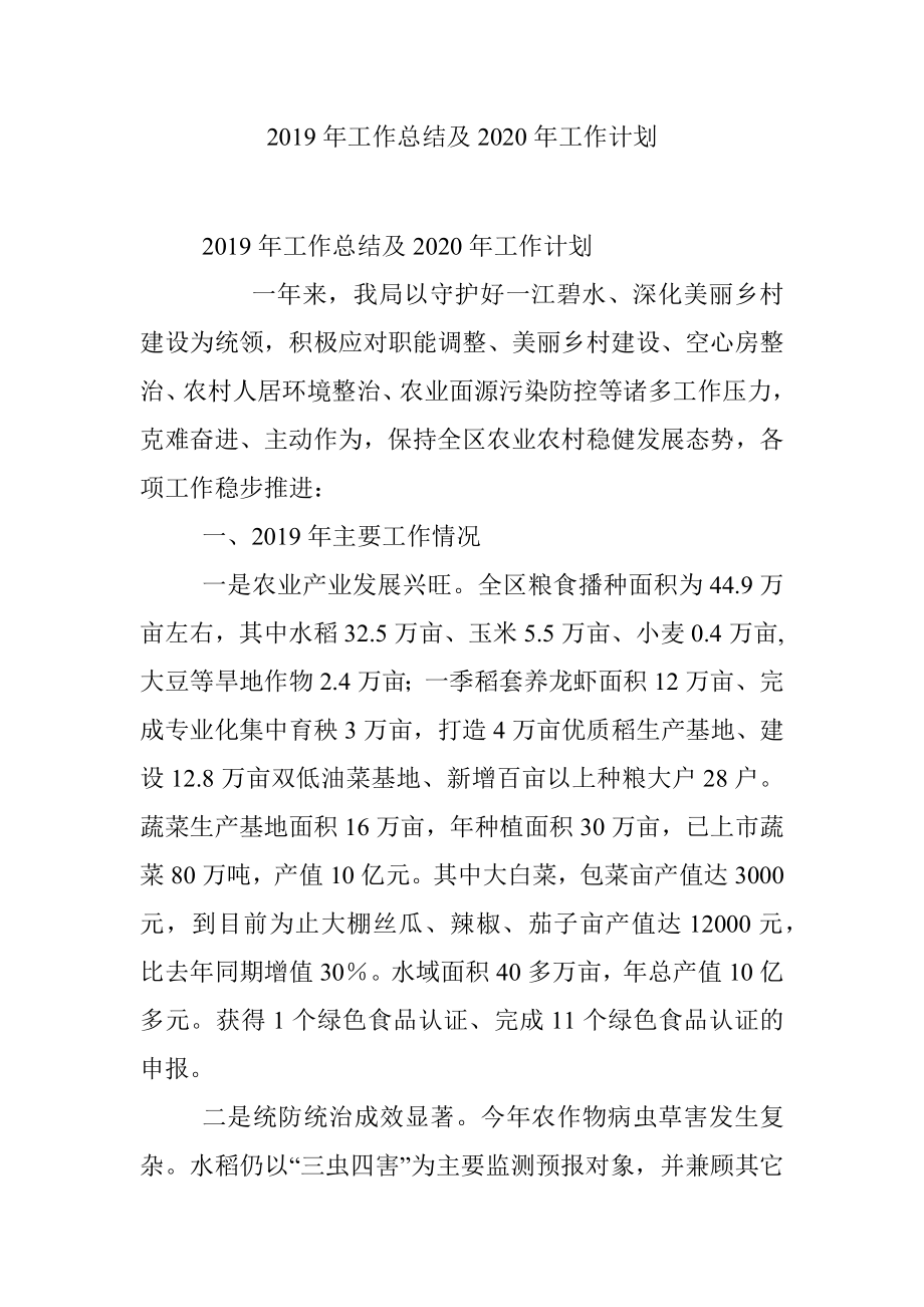 2019年工作总结及2020年工作计划.docx_第1页