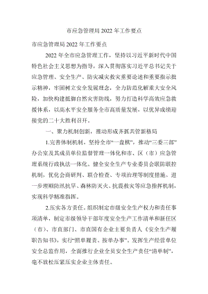 市应急管理局2022年工作要点_1.docx