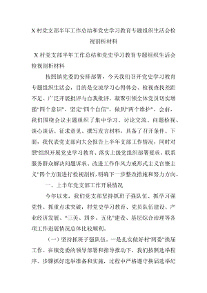 X村党支部半年工作总结和党史学习教育专题组织生活会检视剖析材料.docx