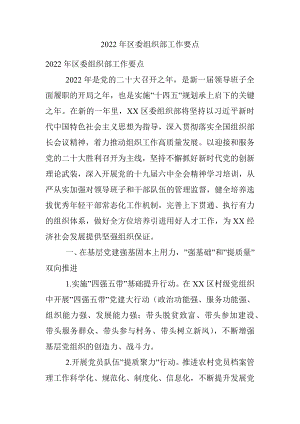 2022年区委组织部工作要点.docx