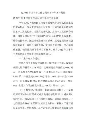 镇2022年上半年工作总结和下半年工作思路_1.docx