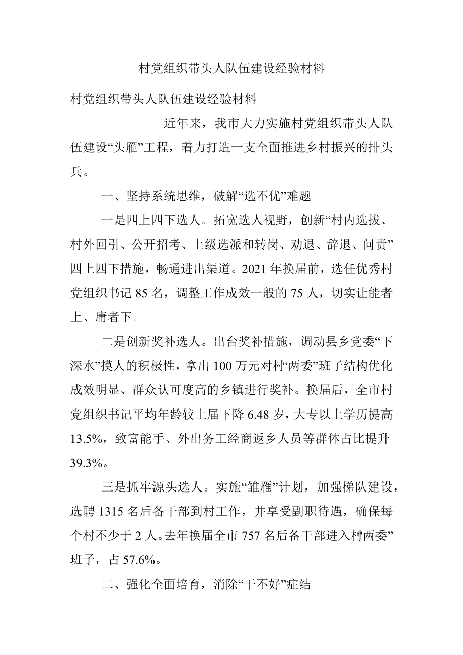 村党组织带头人队伍建设经验材料.docx_第1页