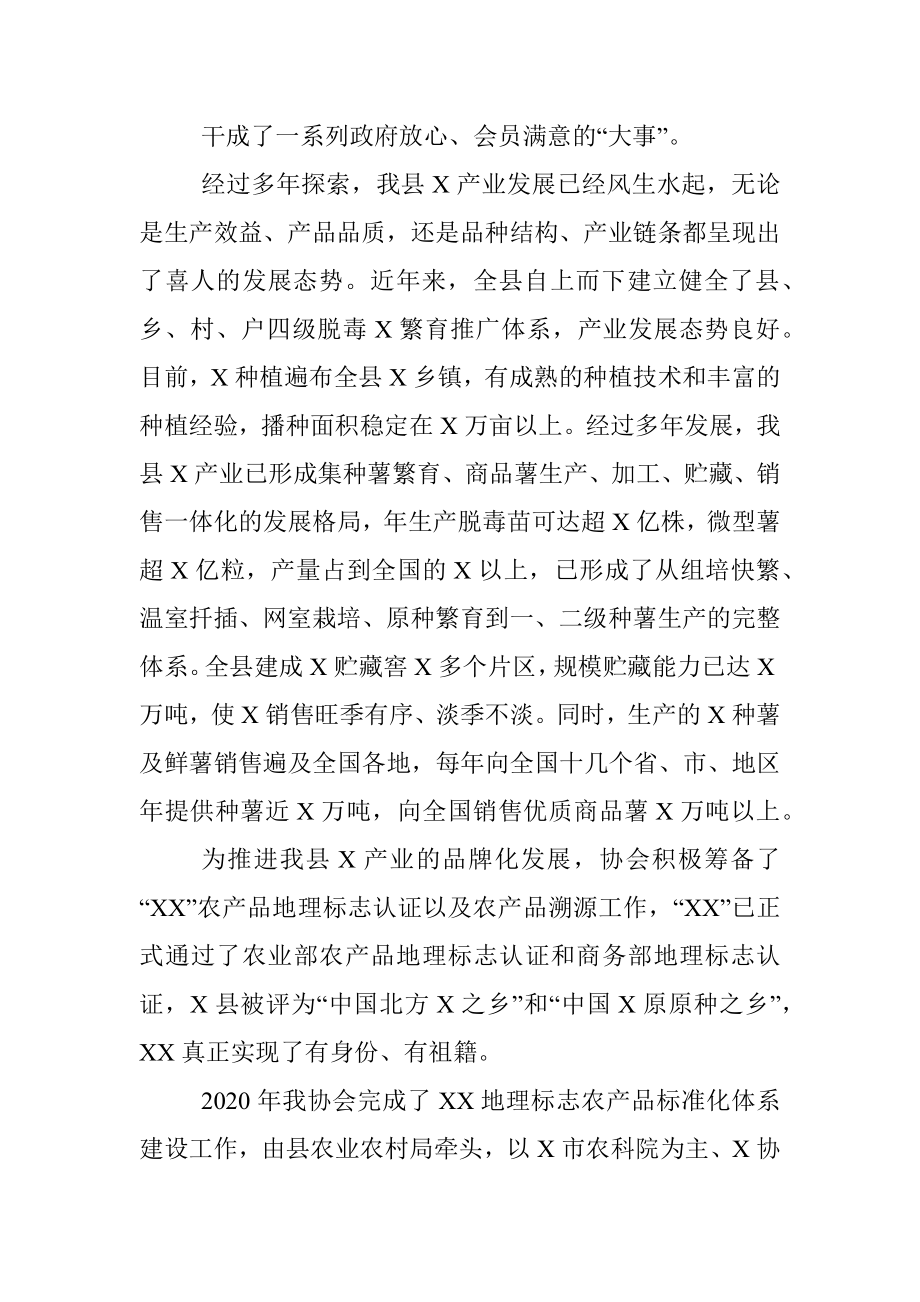 产业协会工作总结.docx_第3页