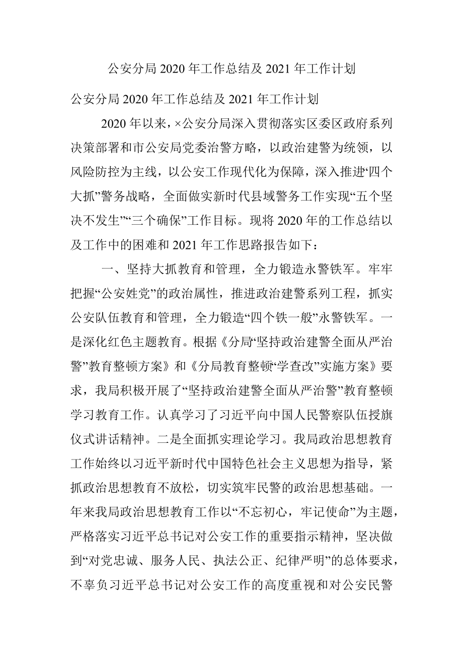 公安分局2020年工作总结及2021年工作计划.docx_第1页