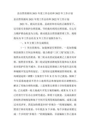 县自然资源局2021年度工作总结和2022年工作计划.docx