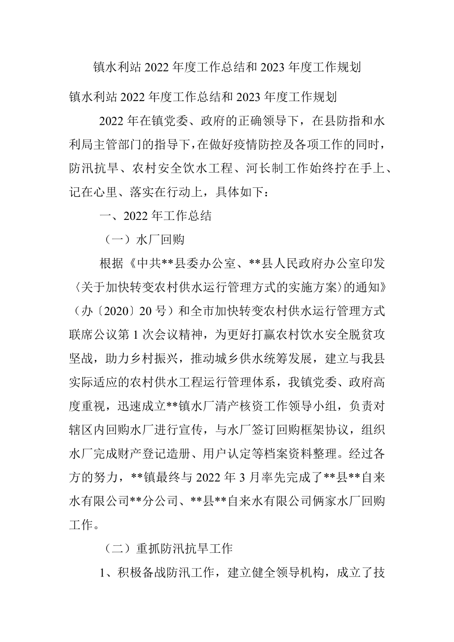 镇水利站2022年度工作总结和2023年度工作规划.docx_第1页