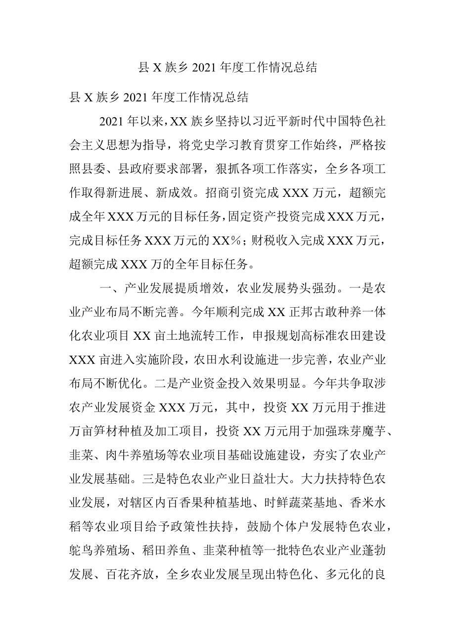 县X族乡2021年度工作情况总结.docx_第1页