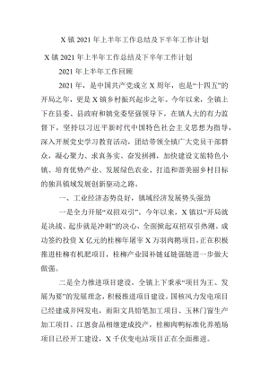 X镇2021年上半年工作总结及下半年工作计划_1.docx