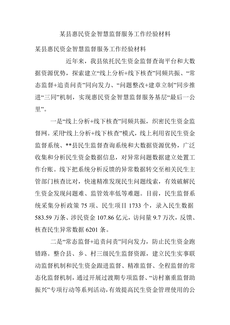 某县惠民资金智慧监督服务工作经验材料.docx_第1页