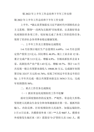 镇2022年上半年工作总结和下半年工作安排_1.docx